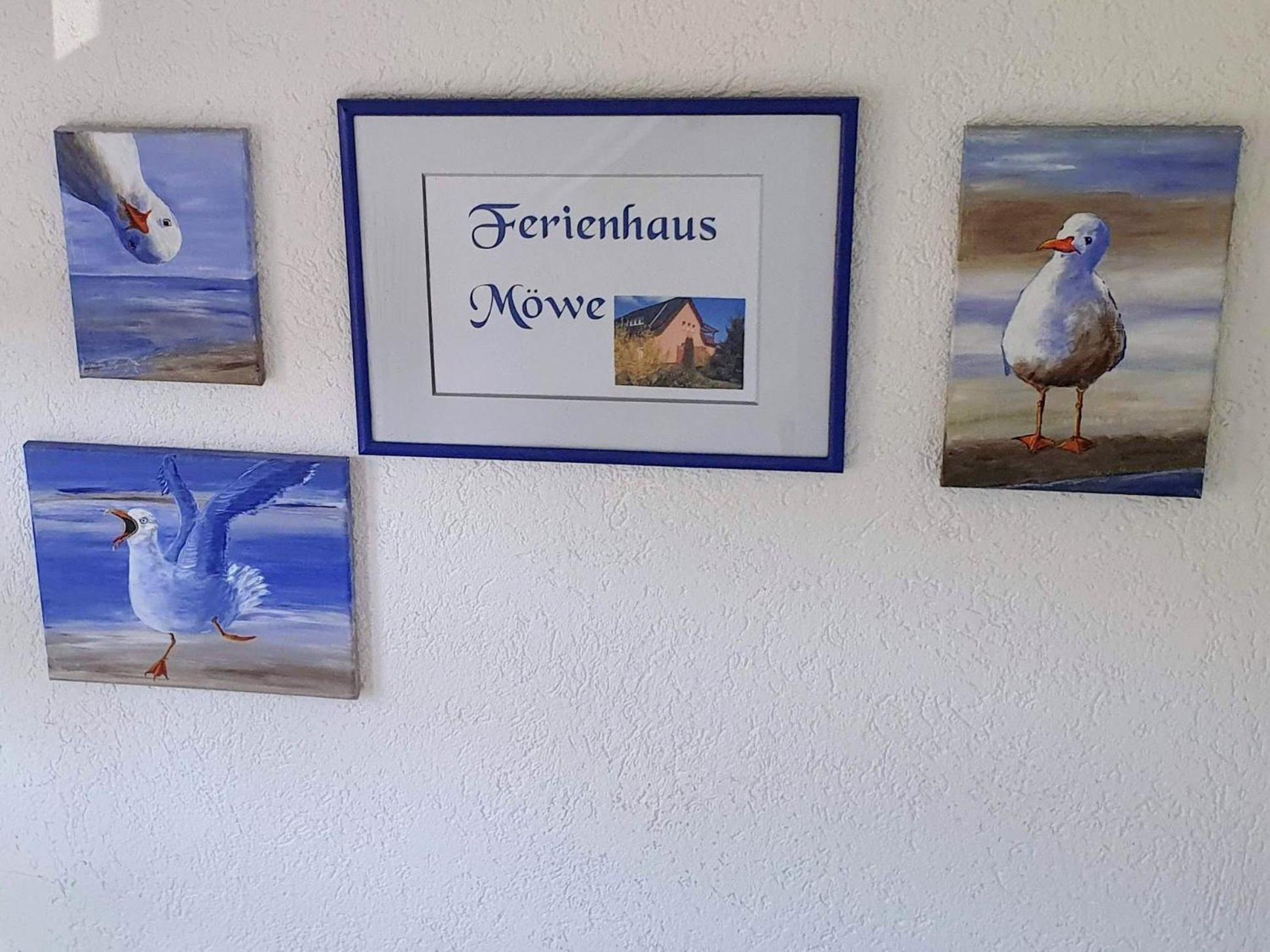 Ferienhaus Moewe Hanshagen  エクステリア 写真