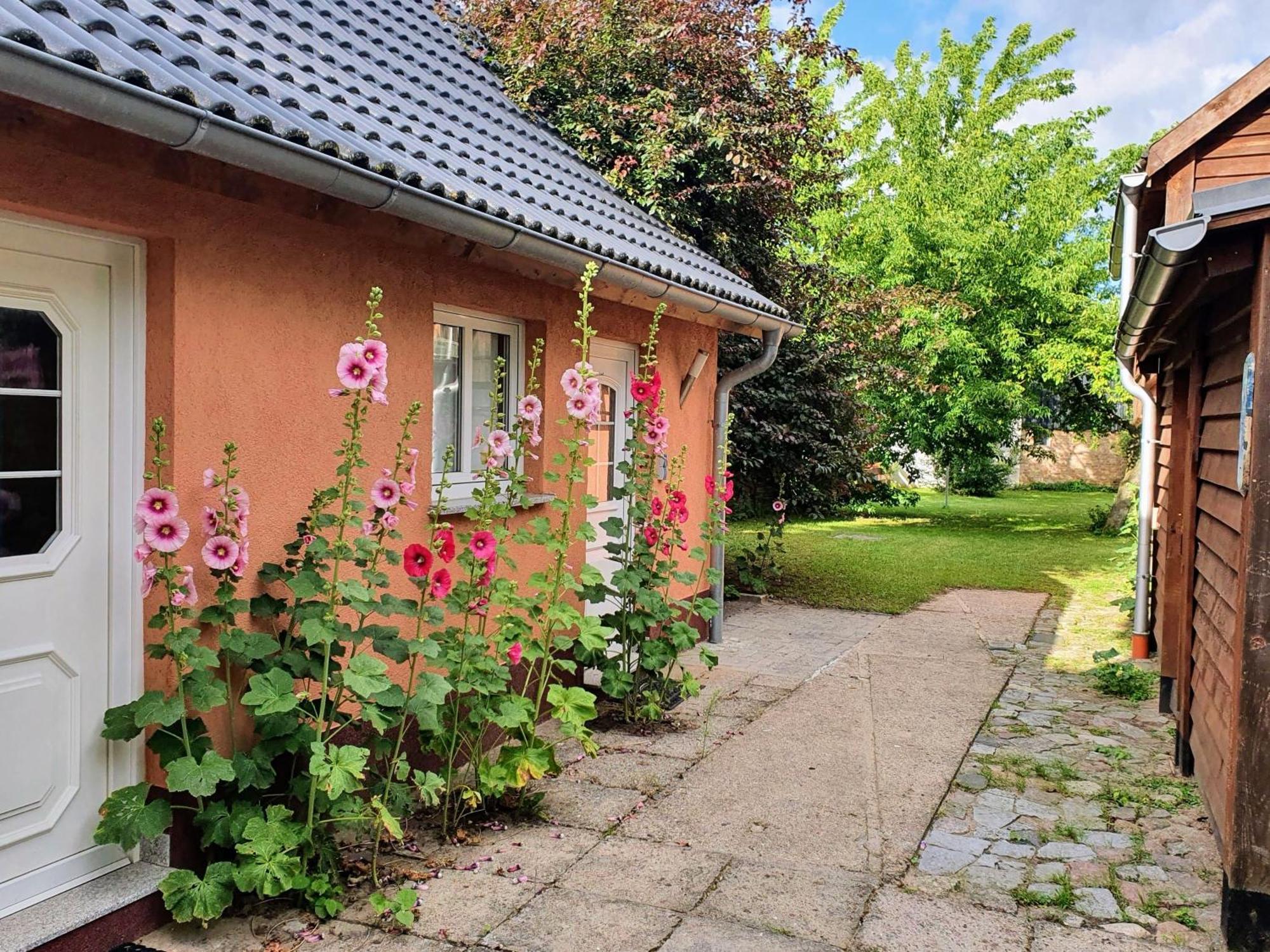 Ferienhaus Moewe Hanshagen  エクステリア 写真